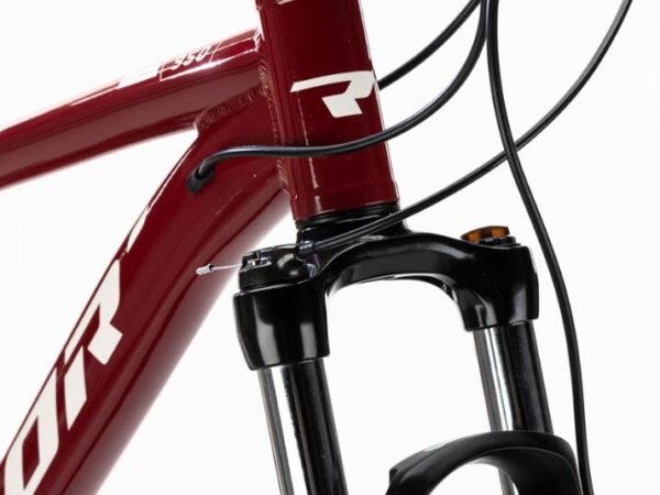 Conor 950 29” 2026: imagen 2