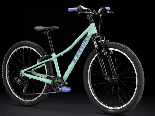 Mountain Bike Bicicleta De 24 Pulgadas Edad Giant Faith 24