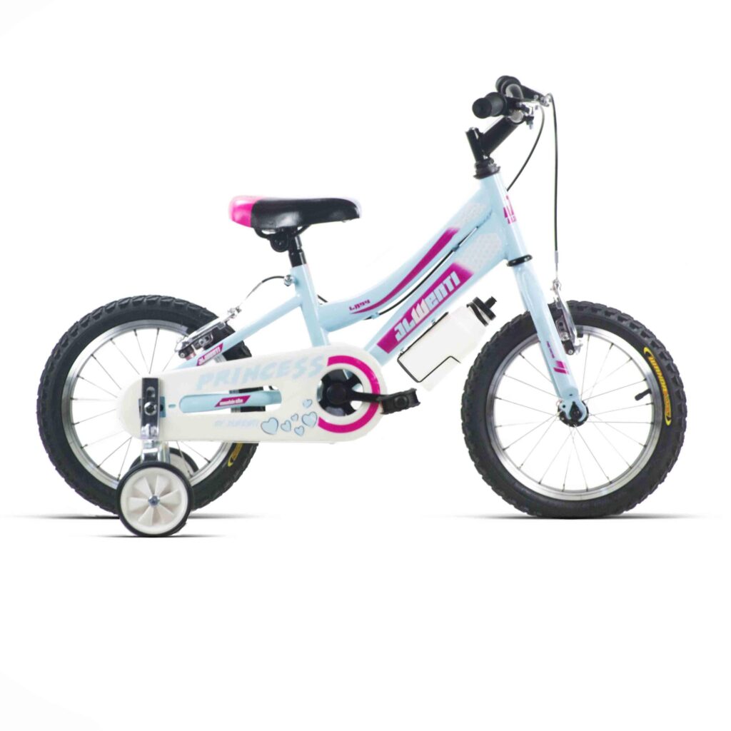 Bicicleta infantil 16 Rosa