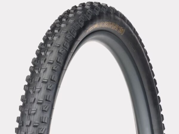 Cubierta Bontrager Gunnison Pro XR TLR MTB 29 x 2.6