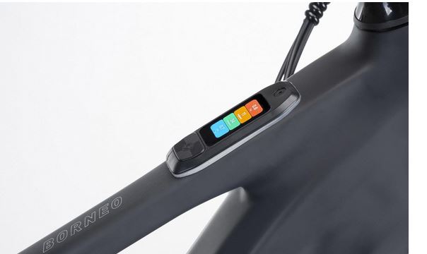 Conor BORNEO 2026: imagen 3