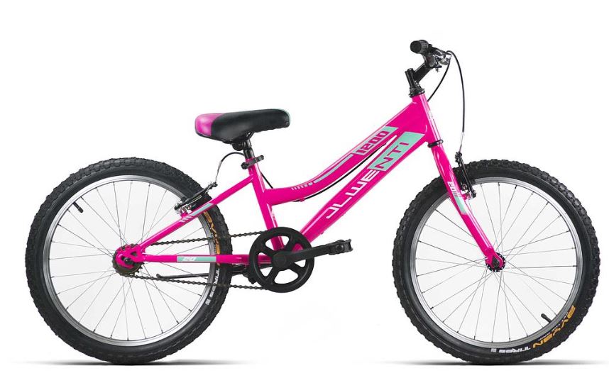 Bicicleta infantil 20 pulgadas rosa: imagen 1