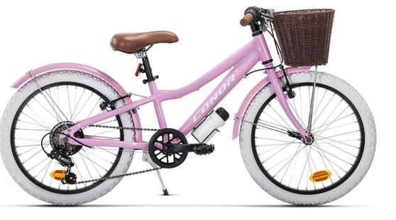 Conor HALEBOB 20 pulgadas rosa con diseño de princesa