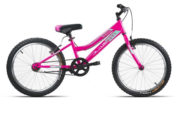 Bicicleta infantil de 20 pulgadas rosa JL Wenti MOD.1200