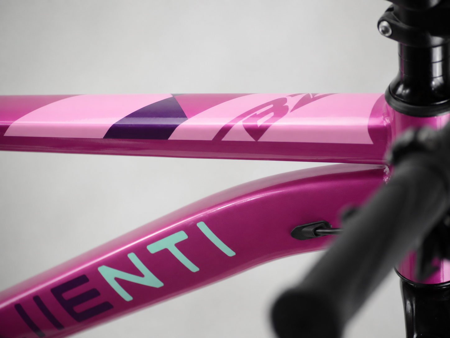 Detalle del cuadro de la bicicleta infantil de 24 pulgadas rosa JL Wenti